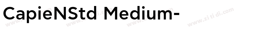 CapieNStd Medium字体转换